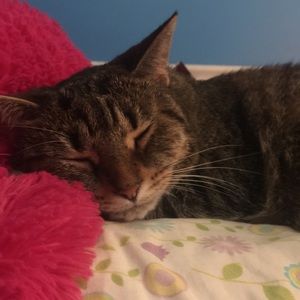 Meet your Posher, Marissa